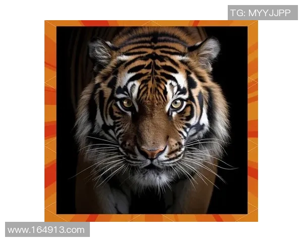 范戴克Q版足球球星插画展示展现个性魅力与独特风采的卡通造型